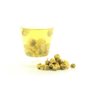 chrysanthème royale