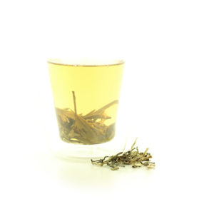 grand jasmin infusé