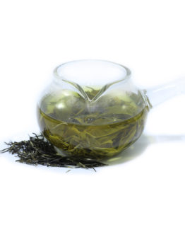 Grand jasmin infusé